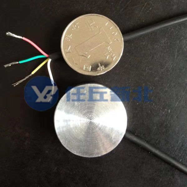 XB-151應變式微型土壓力計